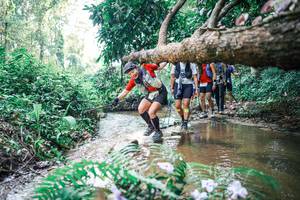 BIB: 
                            <button type="button" onclick="openModal(25459040)" class="btn btn-primary btn-sm float-right btn-popup" data-toggle="modal" data-target=".modal-high-quality">
                        <i class="fas fa-shopping-cart"></i> Add to Cart
                    </button>
                                            <button type="button" onclick="isThisMe(25459040, true)" class="btn btn-success btn-sm float-right btn-popup btn-isme hidden" data-toggle="tooltip" data-placement="bottom" title="นี่คือรูปของคุณใช่ไหม คลิกที่นี่เพื่อเอาเข้าอัลบั้ม">
                        <i class="fas fa-plus"></i> Add to album
                    </button>
                    <button type="button" onclick="isThisMe(25459040, false)" class="btn btn-warning btn-sm float-right btn-popup btn-isnotme hidden">
                        <i class="fas fa-ban"></i> Remove from album
                    </button>